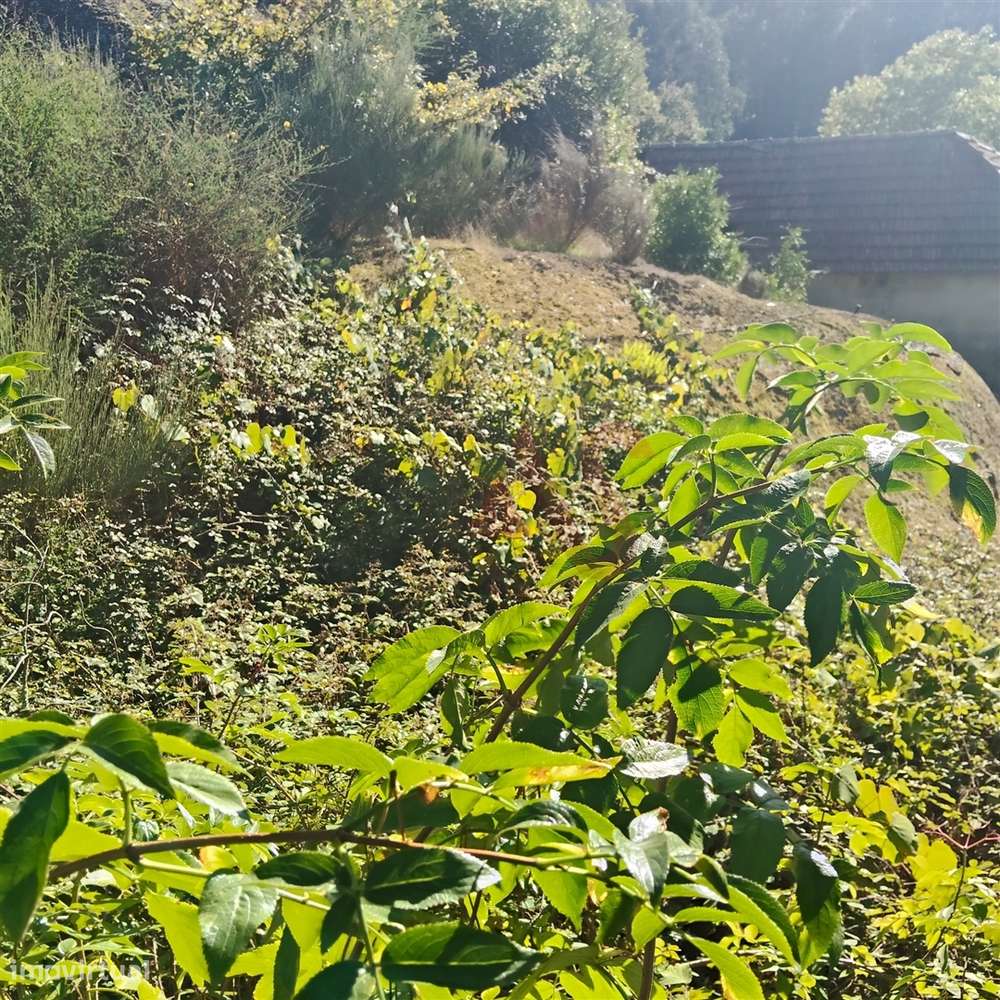 Moradia T3 para restaurar com terreno em Seidões, Fafe - Grande imagem: 5/20