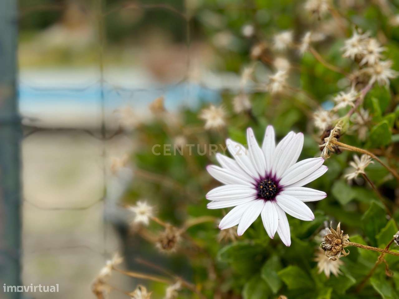 Fantástica Moradia em Cascais-18