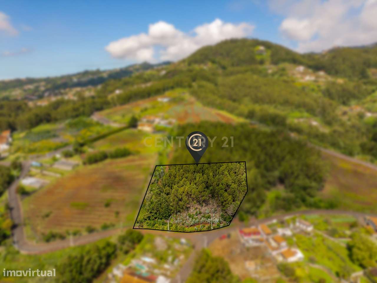 Terreno em Santa Cruz - Potencial Turístico ou Habitacional - Grande imagem: 3/12