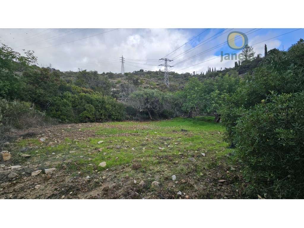 Terreno Rústico em Estoi com Poço-17