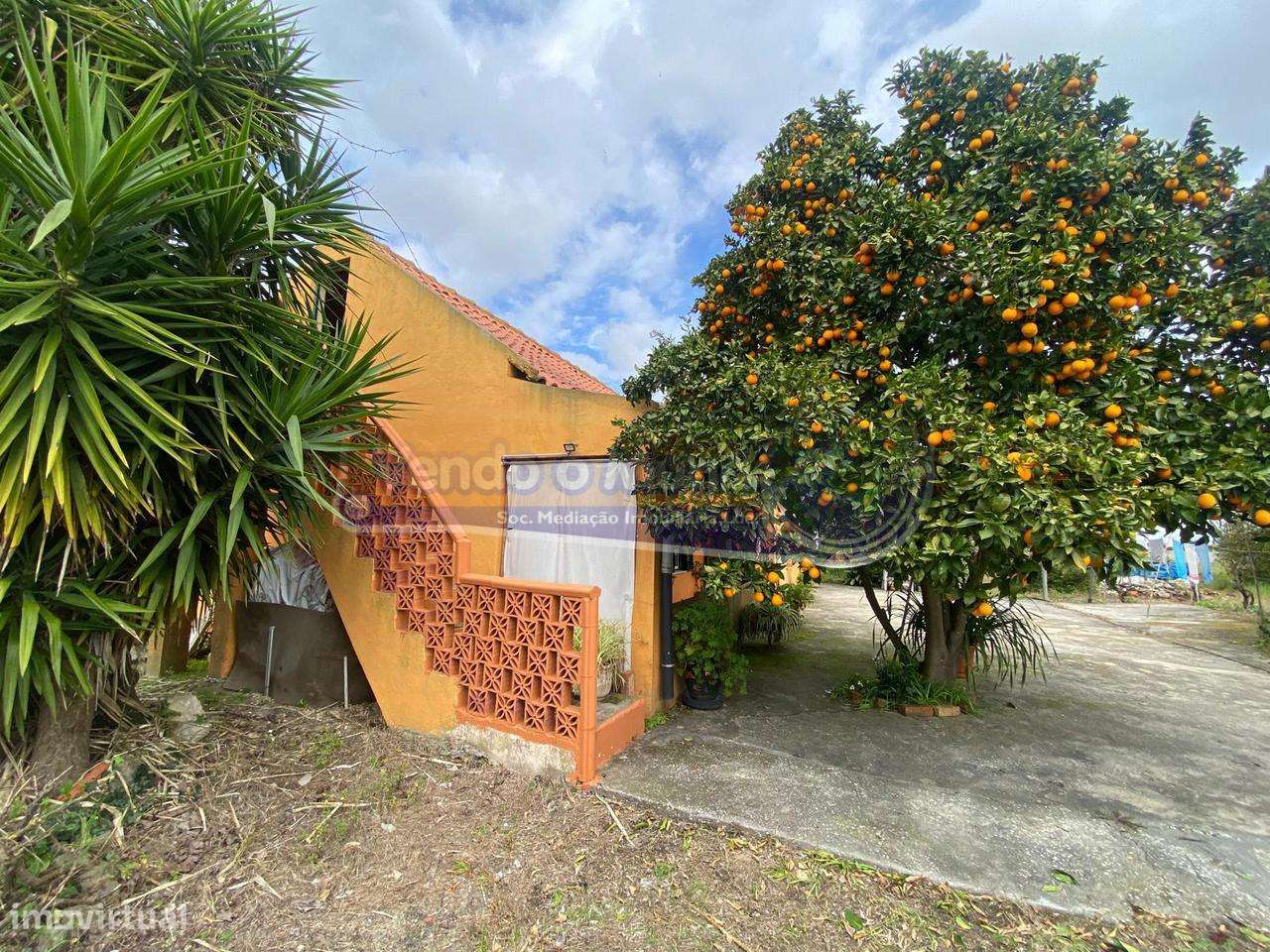 Moradia T1 em Marinhais (M761) - Grande imagem: 2/16