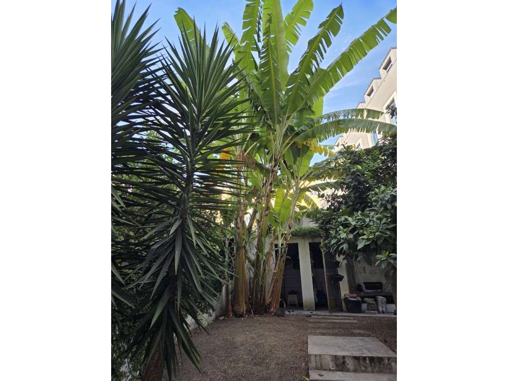 **Venda de Apartamento T2 com Jardim Privativo próximo da Avenida d...-3