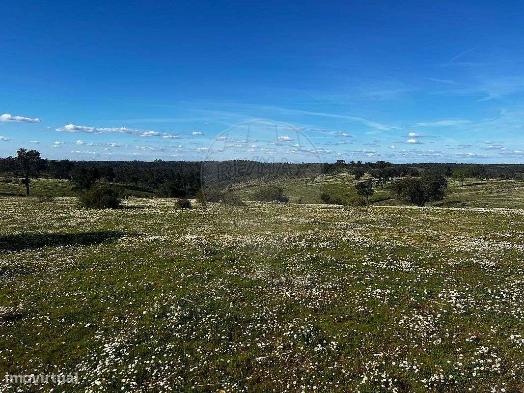 Terreno  para venda - Grande imagem: 3/7