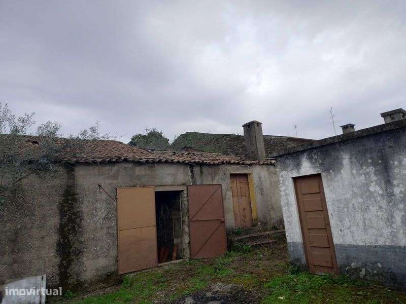 Terreno Cebolais de Cima - Castelo Branco - Grande imagem: 5/11