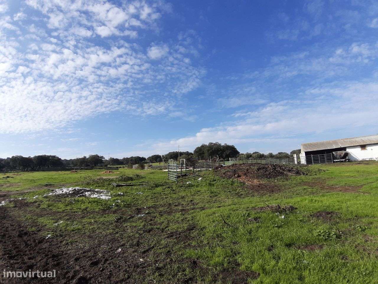 VENDA JUDICIAL I ARMAZÉM com terreno de 1.65 HECT-7