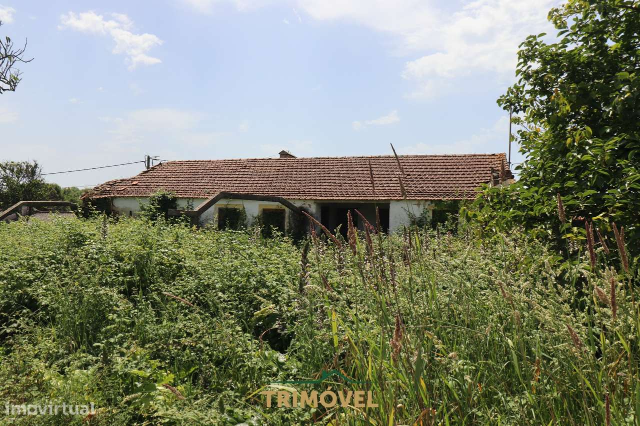 Moradia para remodelar em Válega, Ovar-6