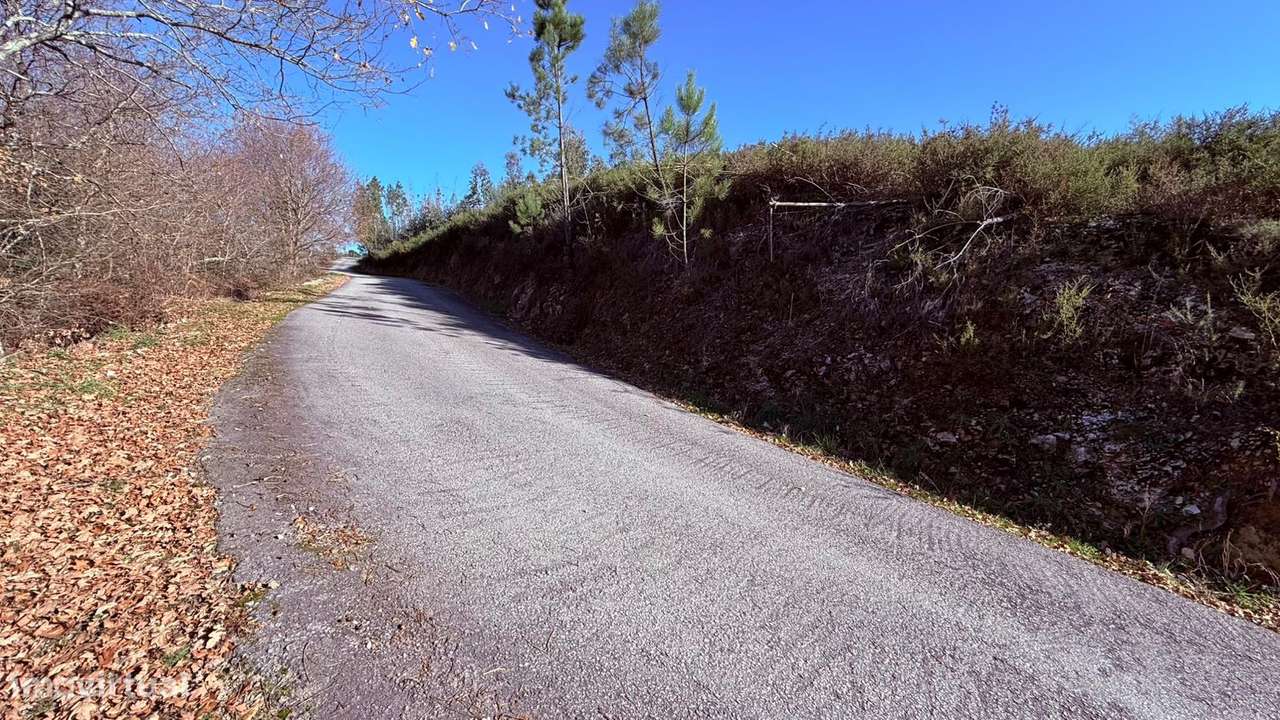 Terreno em Veade, Gagos e Molares - Grande imagem: 4/10