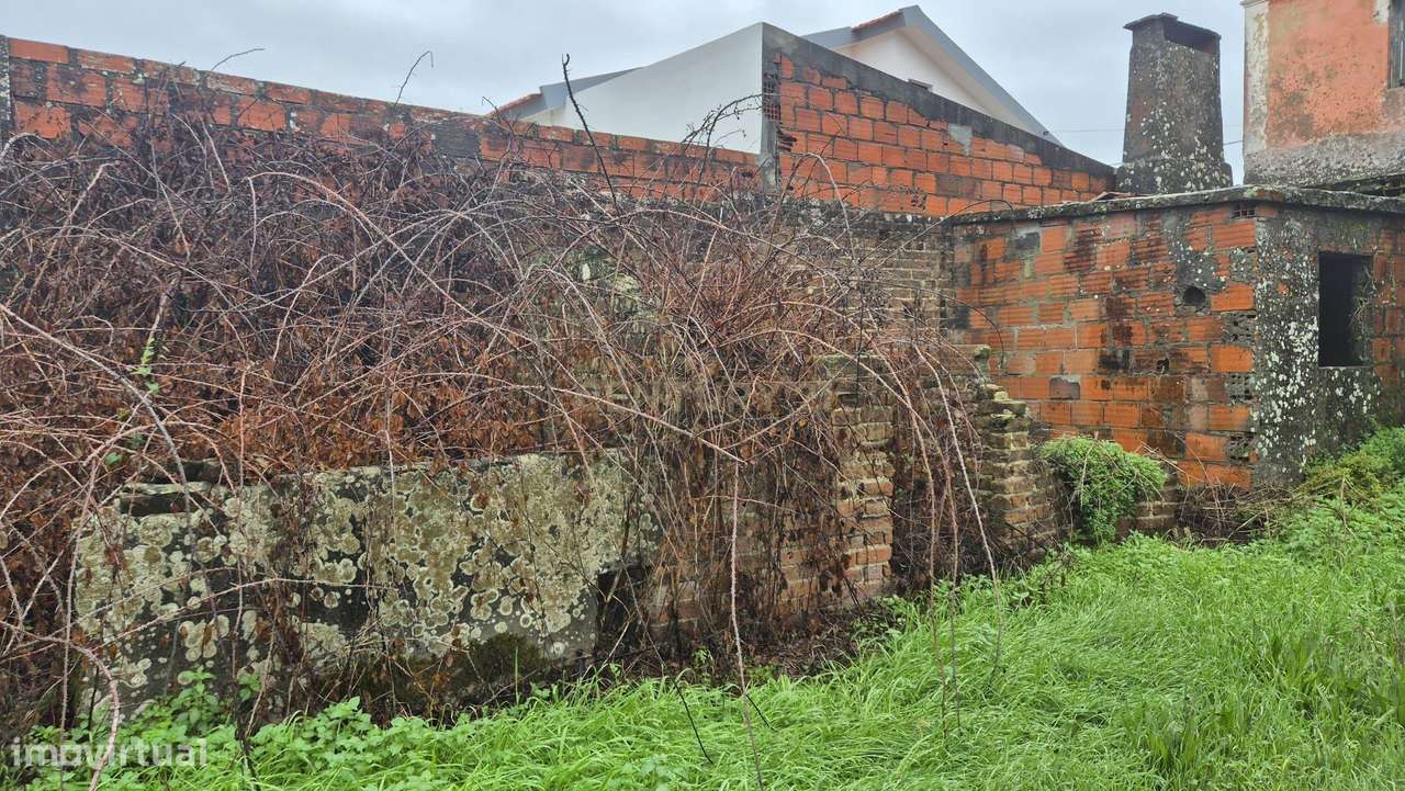 Casa Antiga em Carriço, Pombal - Oportunidade Única-17