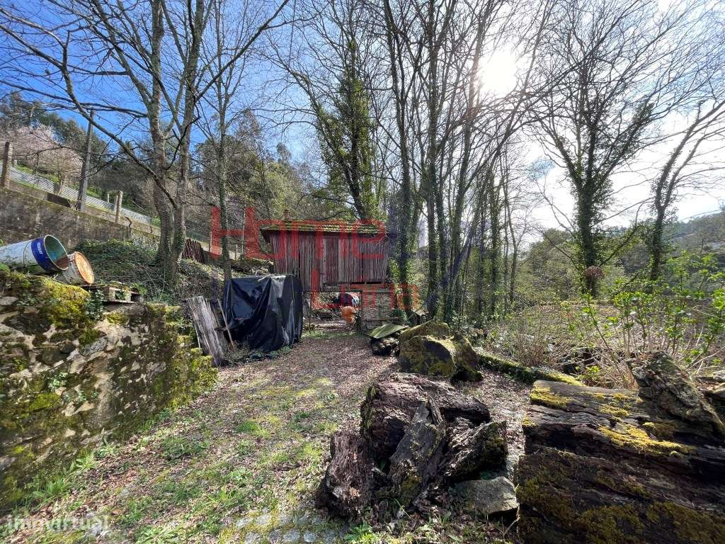 Quinta junto ao Rio Caima - Grande imagem: 5/29