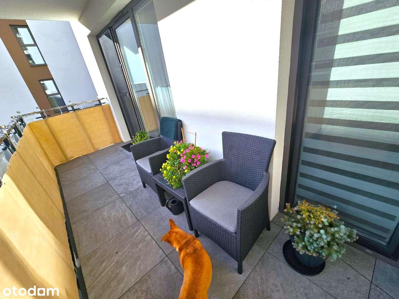 Nowoczesne 2 pokoje na I piętrze przy zalewie w Cedzynie-7