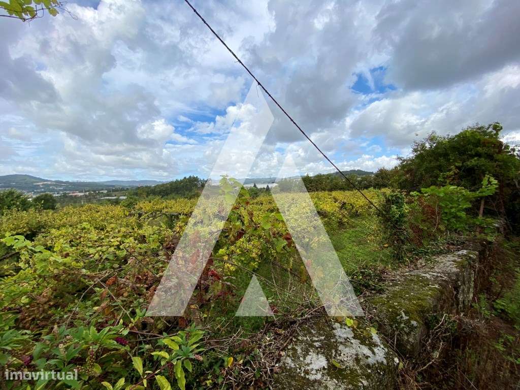 Quinta Nevogilde com Moradia T10, Capela, Celeiro e Acesso ao Rio S...-31