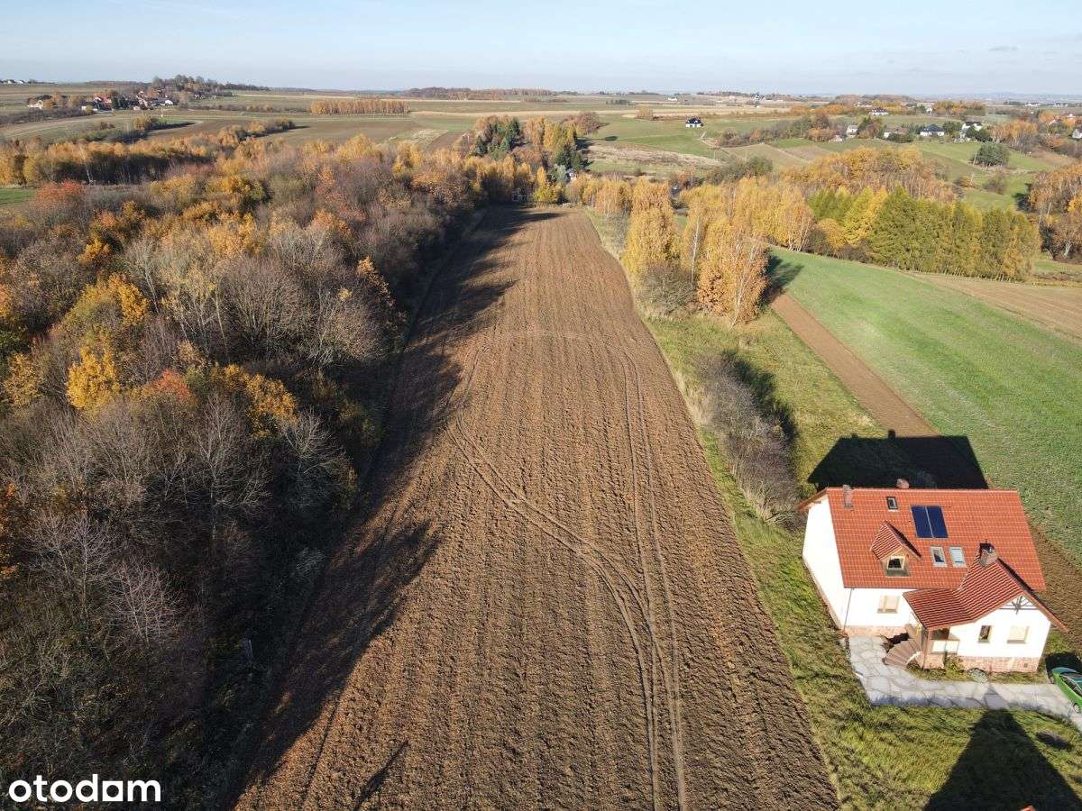Działka Budowlana Szczodrkowice gmina Skała - Pełny obrazek: 4/13