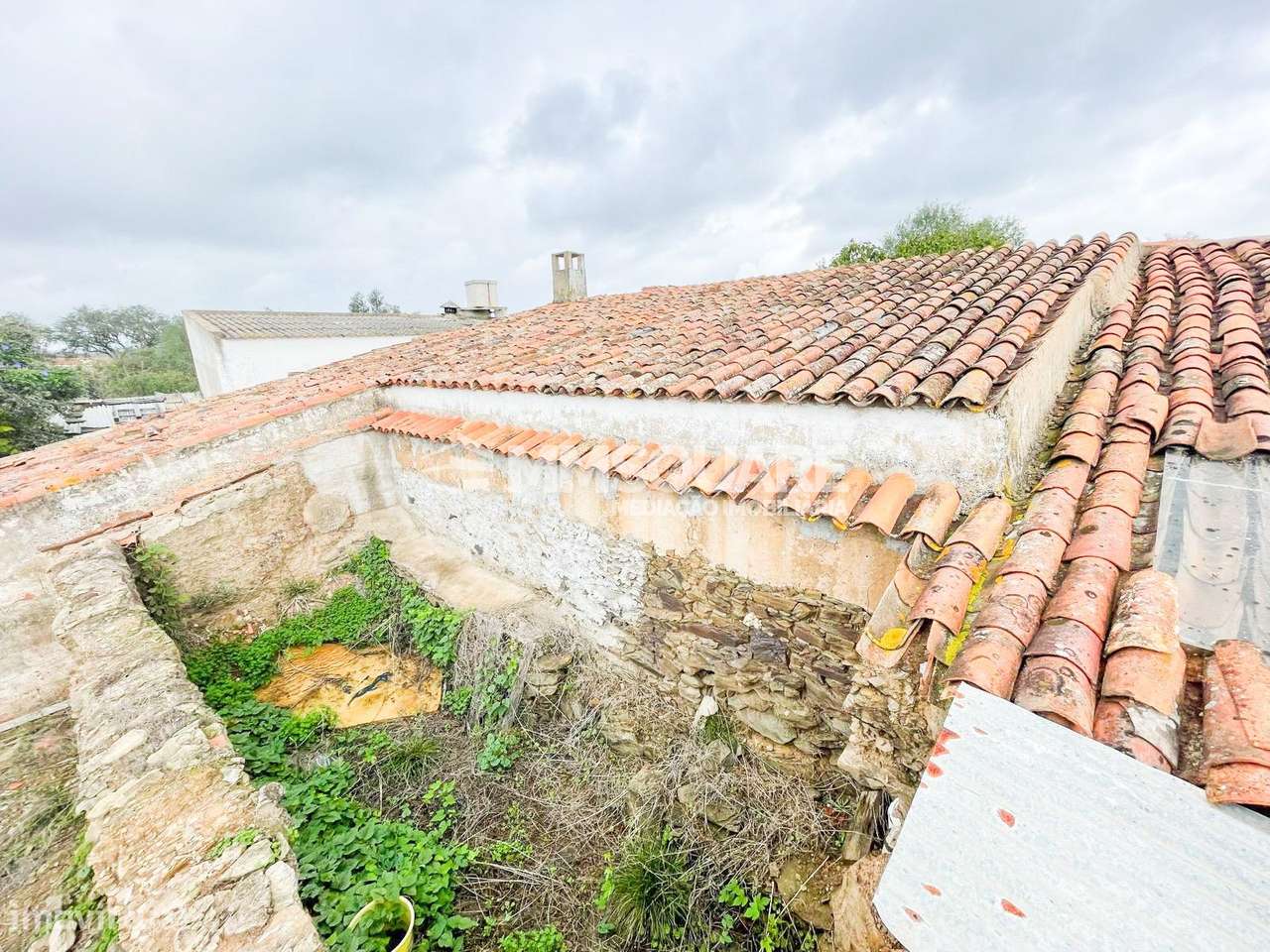 Quintinha T3 Venda em Santana da Serra,Ourique - Grande imagem: 4/19