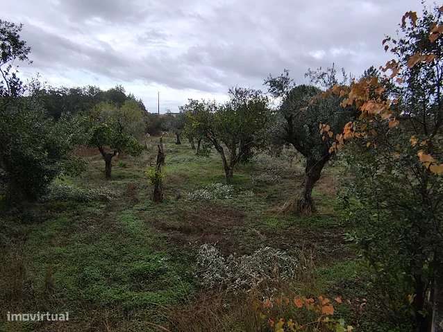 Terreno Rústico 3000m² em Comenda, Portugal - Grande imagem: 4/6