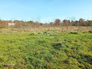 Terreno rústico com 76310m2 situado na Lage do Freixo em Caria - Grande imagem: 2/41