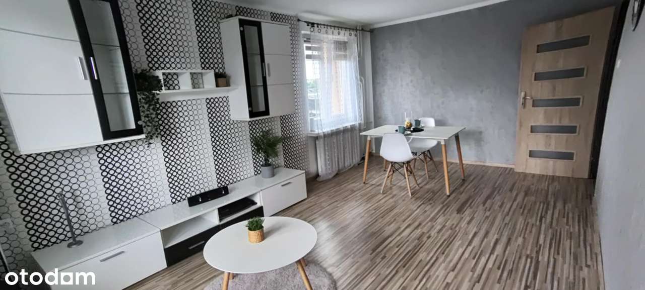 Duże, ustawne trzy pokoje w centrum miasta-2