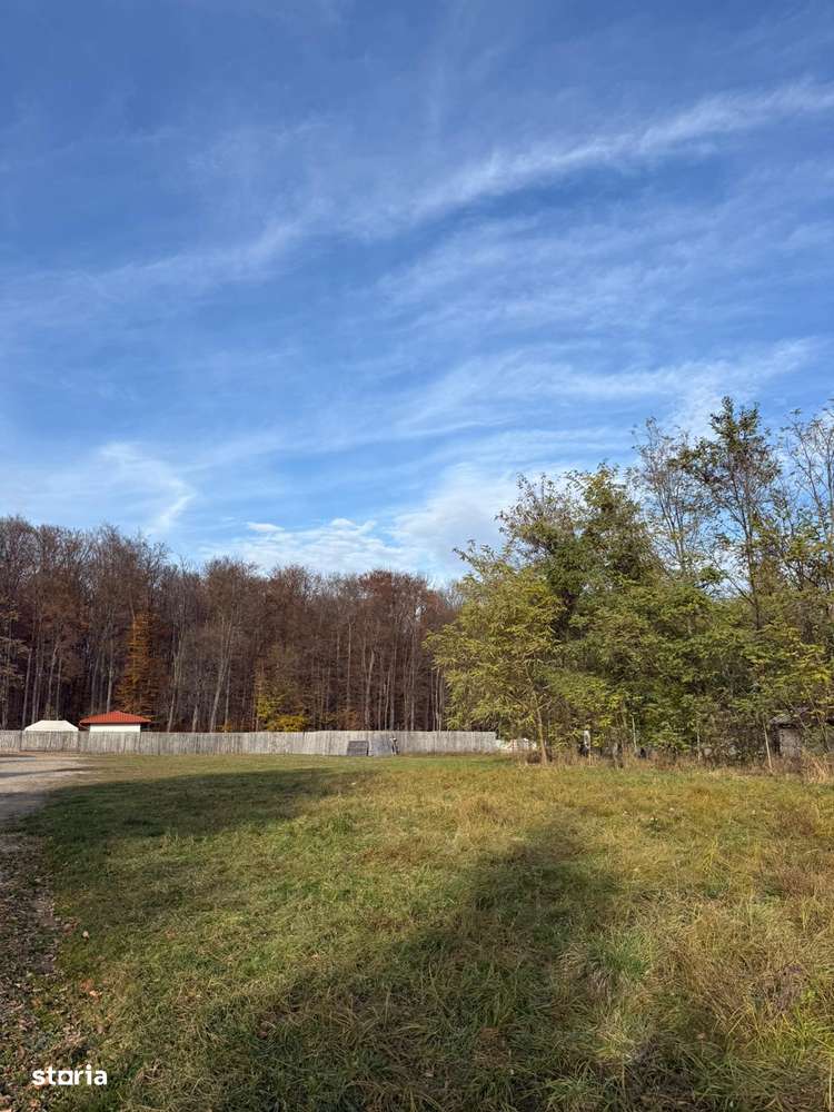 M.Dragomirna-Teren 2002mp, curent electric,pret 950E/ar. - Imagine principală: 2/7