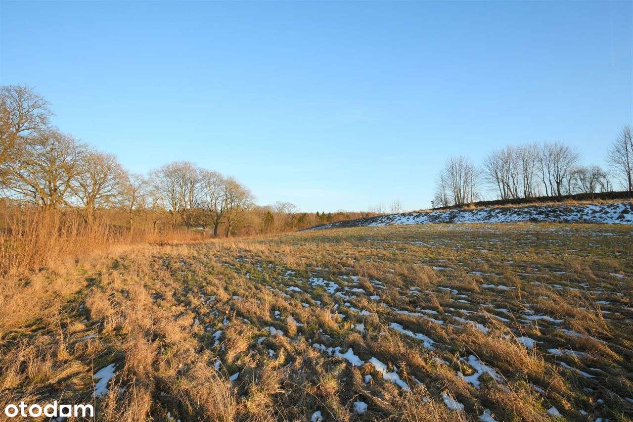 Działka budowlana - Zwartówko - Pełny obrazek: 4/7