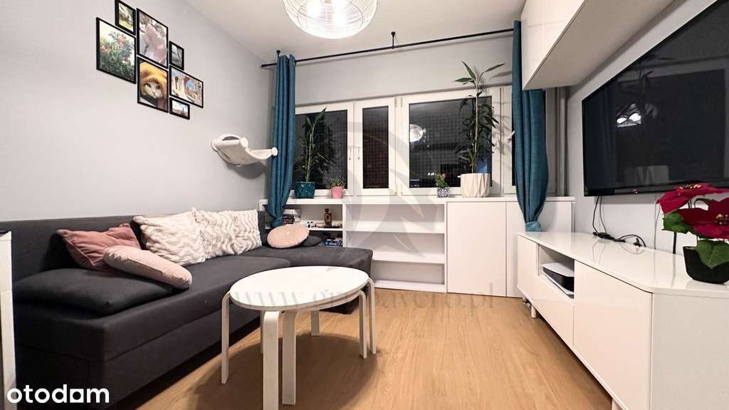 Mieszkanie, w którym kot jest prezesem-6