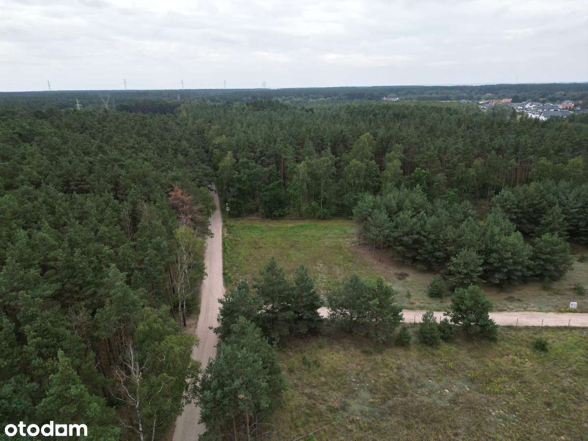 Na sprzedaż działka 1504 m² Niwy, ul. Podhalańska, w otulinie lasu - Pełny obrazek: 4/17