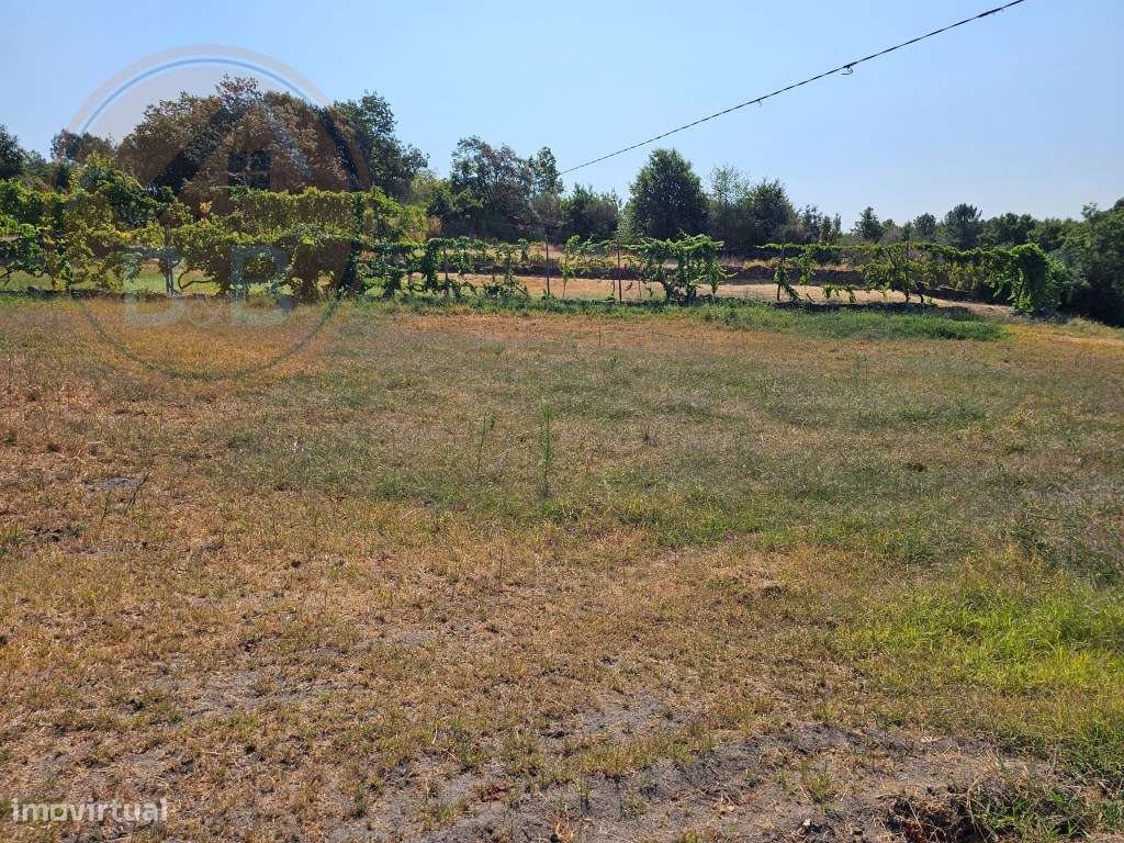 Quinta Rural em Leiradas, Rio Douro, Cabeceiras de Basto-55
