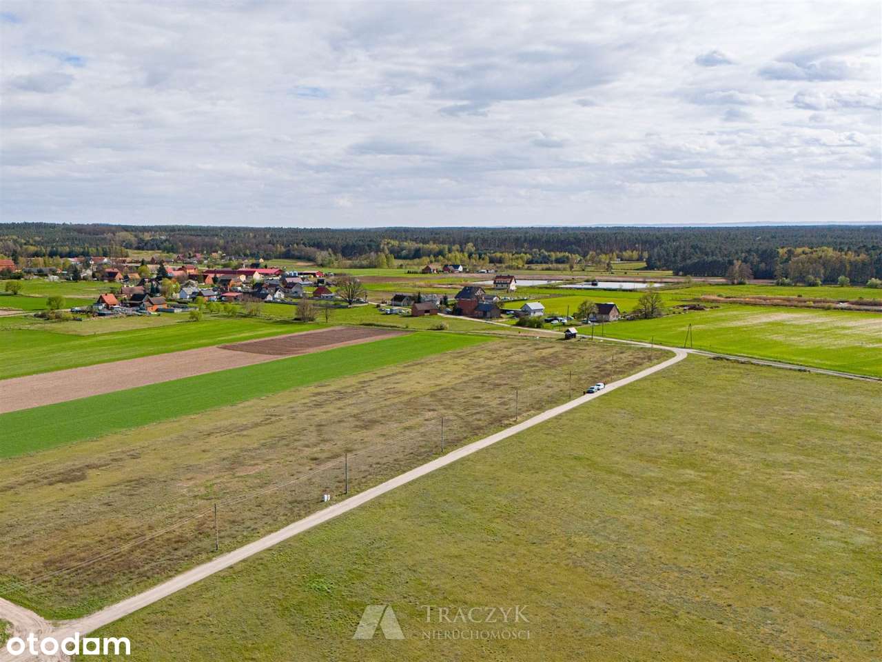 Film,Dolina Baryczy,media w drodze, las, jeziora, - Pełny obrazek: 5/9