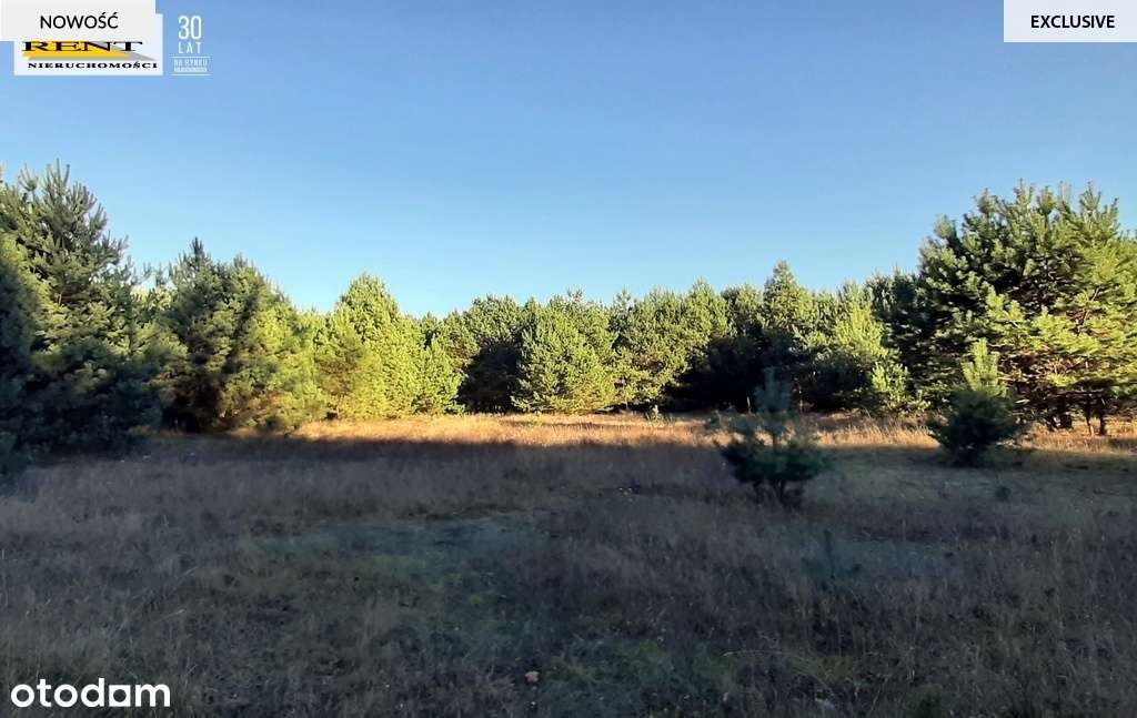 Działka pod lasem  blisko wody  Okazja - Pełny obrazek: 5/18