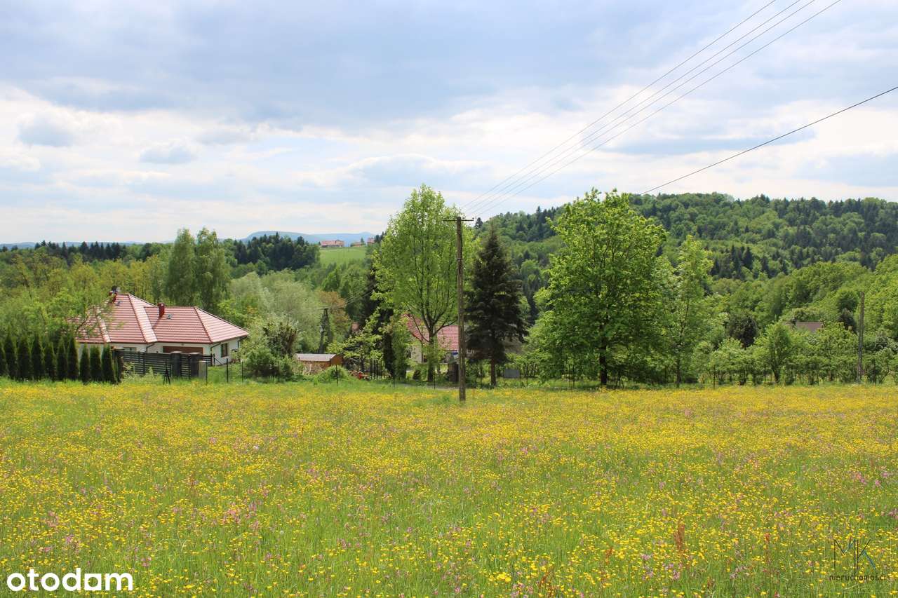 Kobylec (gm. Łapanów) - działka budowlana z ładnym widokiem!-5