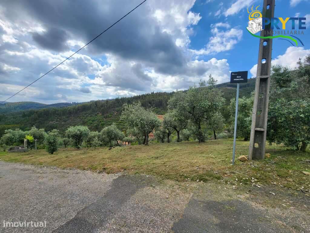 Terreno com área total de 6900 metros quadrados a confinar com ribeiro - Grande imagem: 5/19