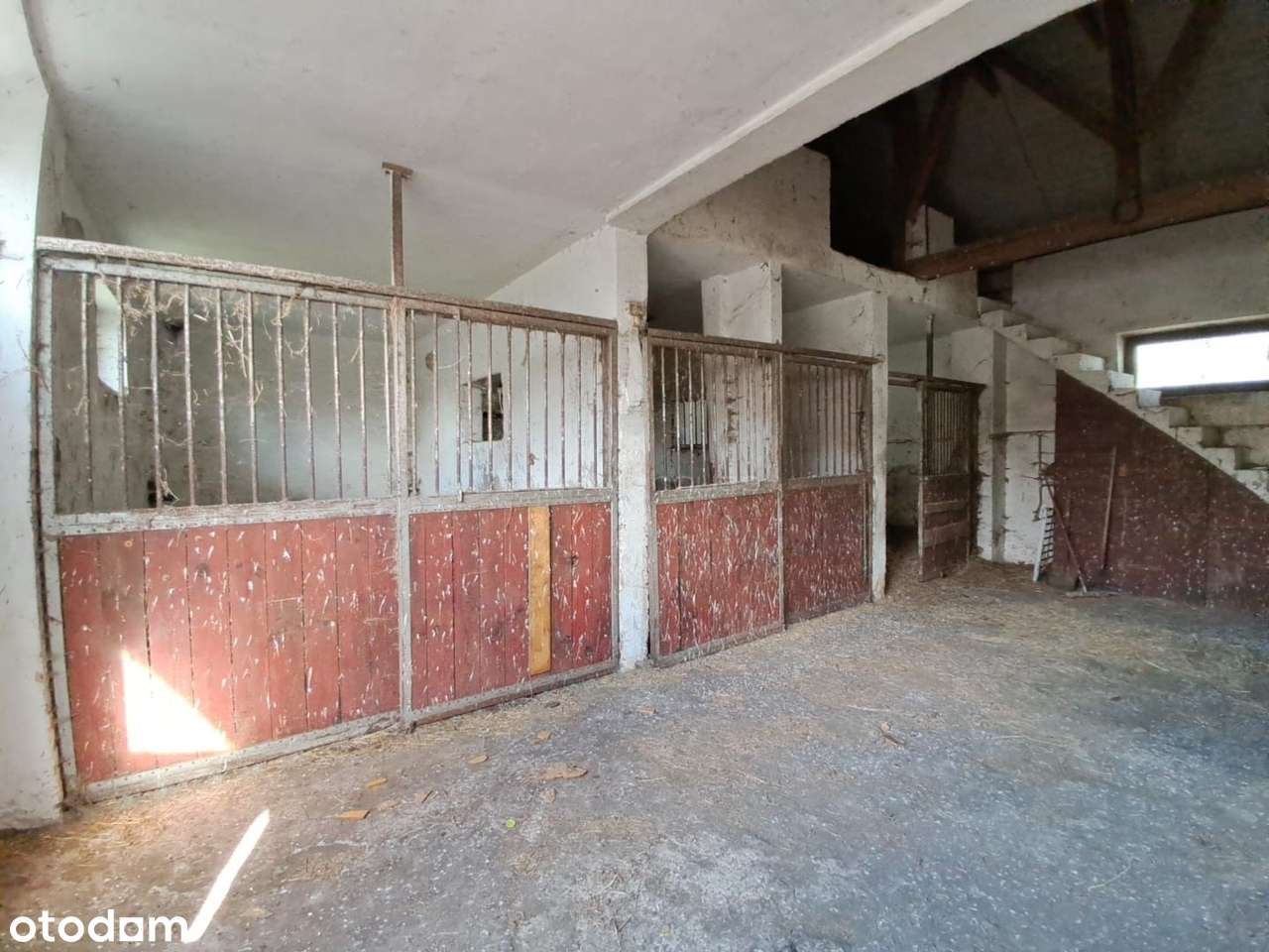 Działka usługowa_Zabudowana_Stajnia-Magazyn. - Pełny obrazek: 4/8