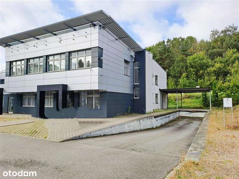 Działka komercyjna w Straszynie k.Gdańska - Pełny obrazek: 5/6