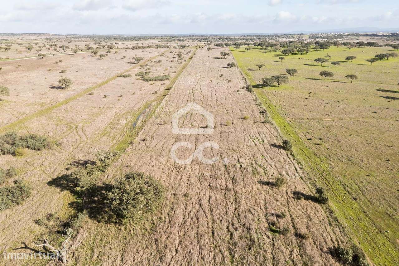 Terreno de 5,4 ha c/ Viabilidade de Construção | Capelins, Alandroal-42