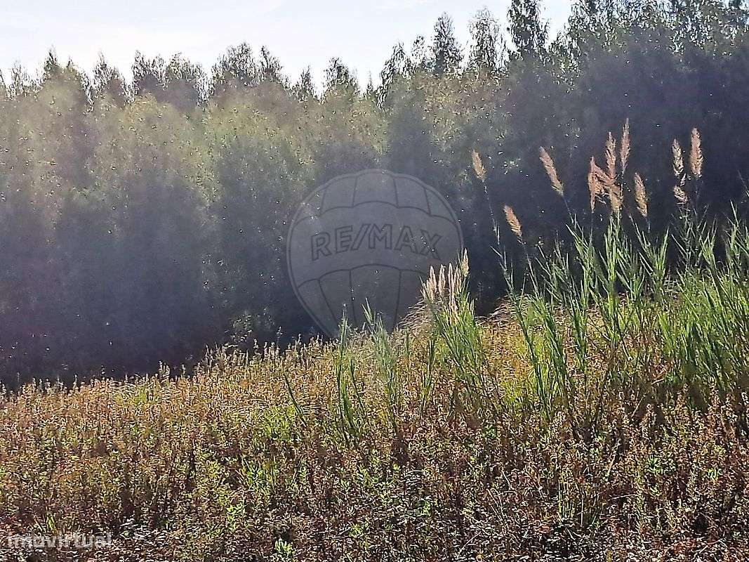 Terreno  para venda - Grande imagem: 5/14