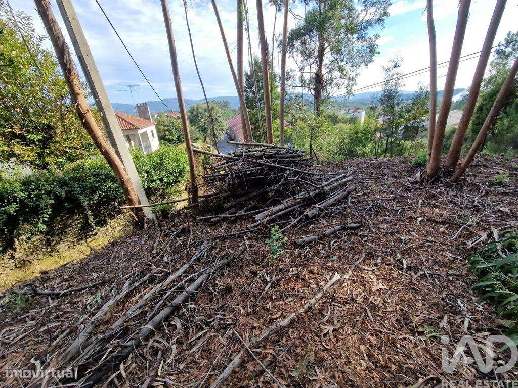 Terreno para construção em Nogueira, Meixedo e Vilar de Murteda de 291 - Grande imagem: 4/29
