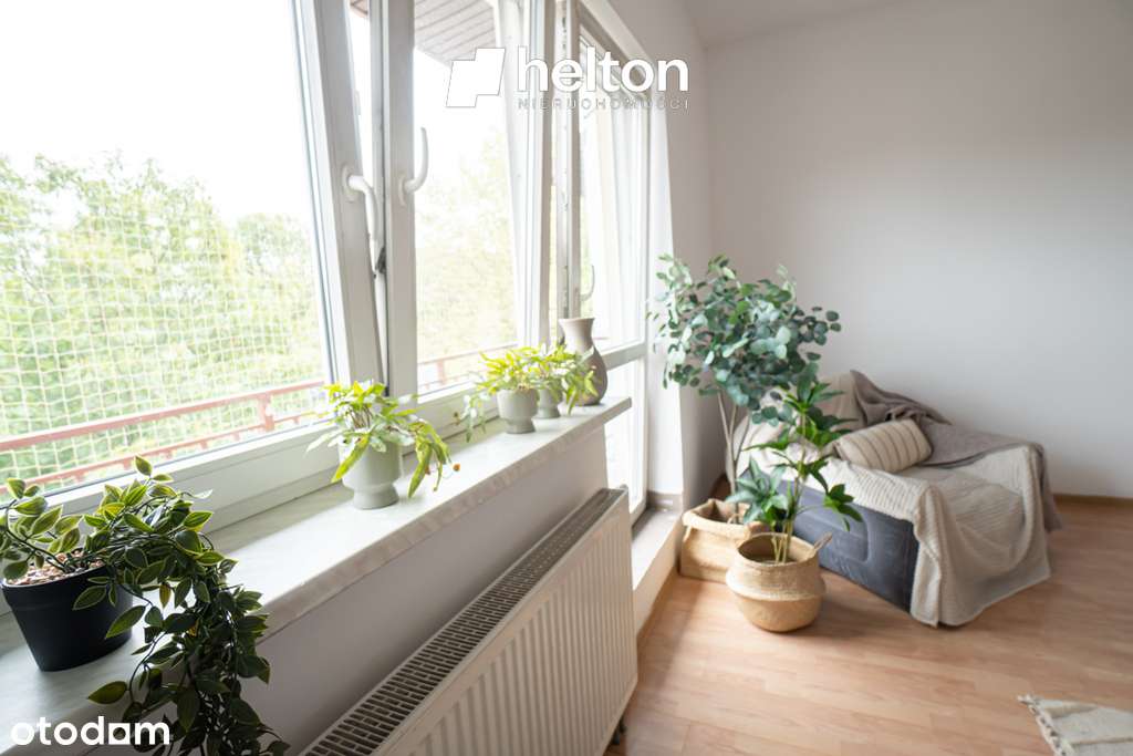 Okazja cenowa | Serenada | Pętla autobusowa-5