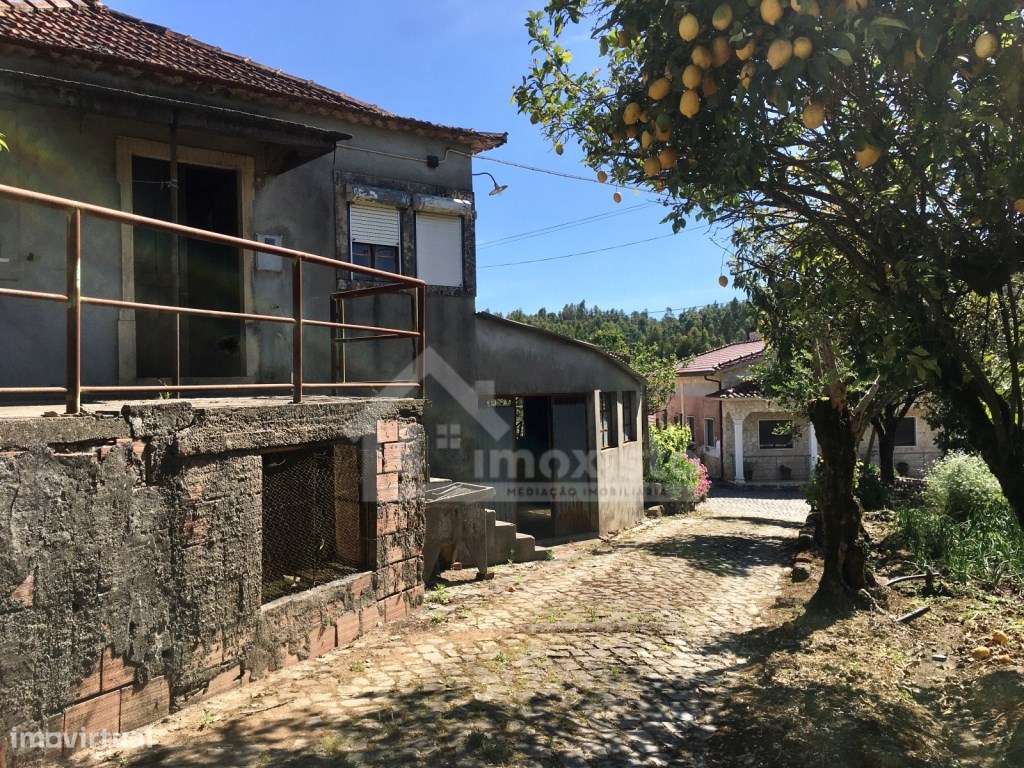 Casa de Campo T3 em Arega, Figueiró dos Vinhos - Grande imagem: 4/53