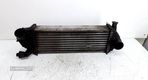 Intercooler Renault Kangoo Express (Fw0/1_) - 1