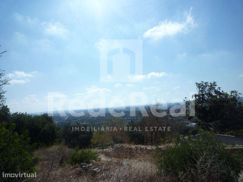 Terreno rústico, Loulé, Algarve. - Grande imagem: 2/6