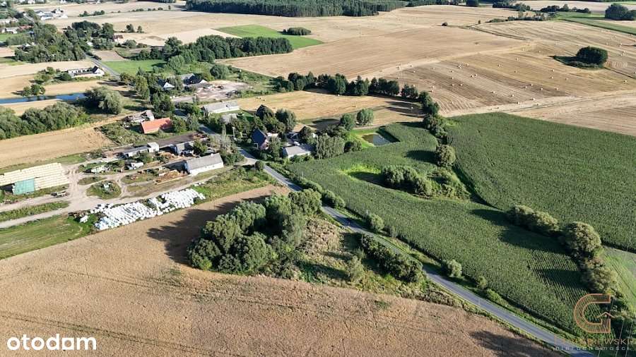 Działka budowlana 3614 m2 - Biechówko! - Pełny obrazek: 3/9