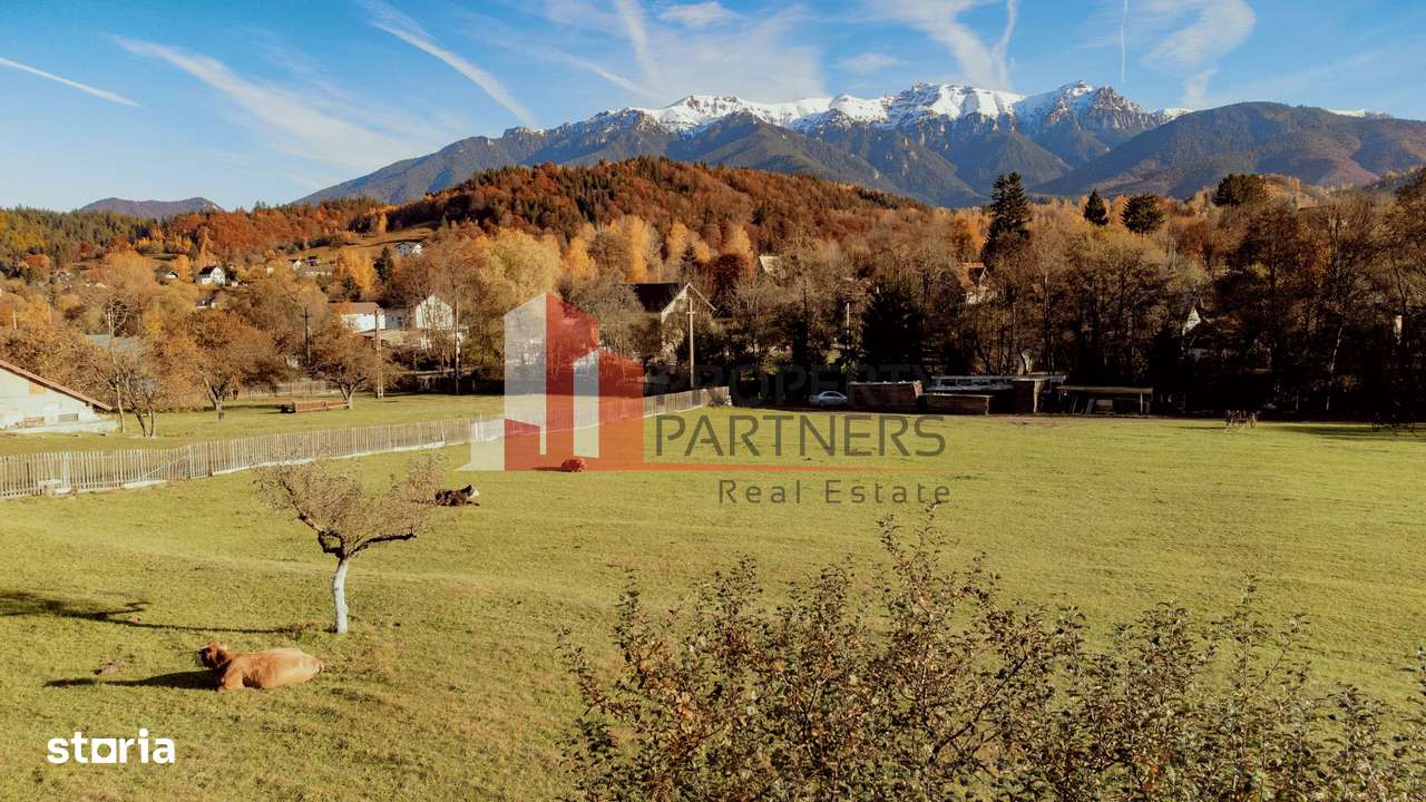 Teren Moieciu 8206 mp - Oportunitate de investitie-0