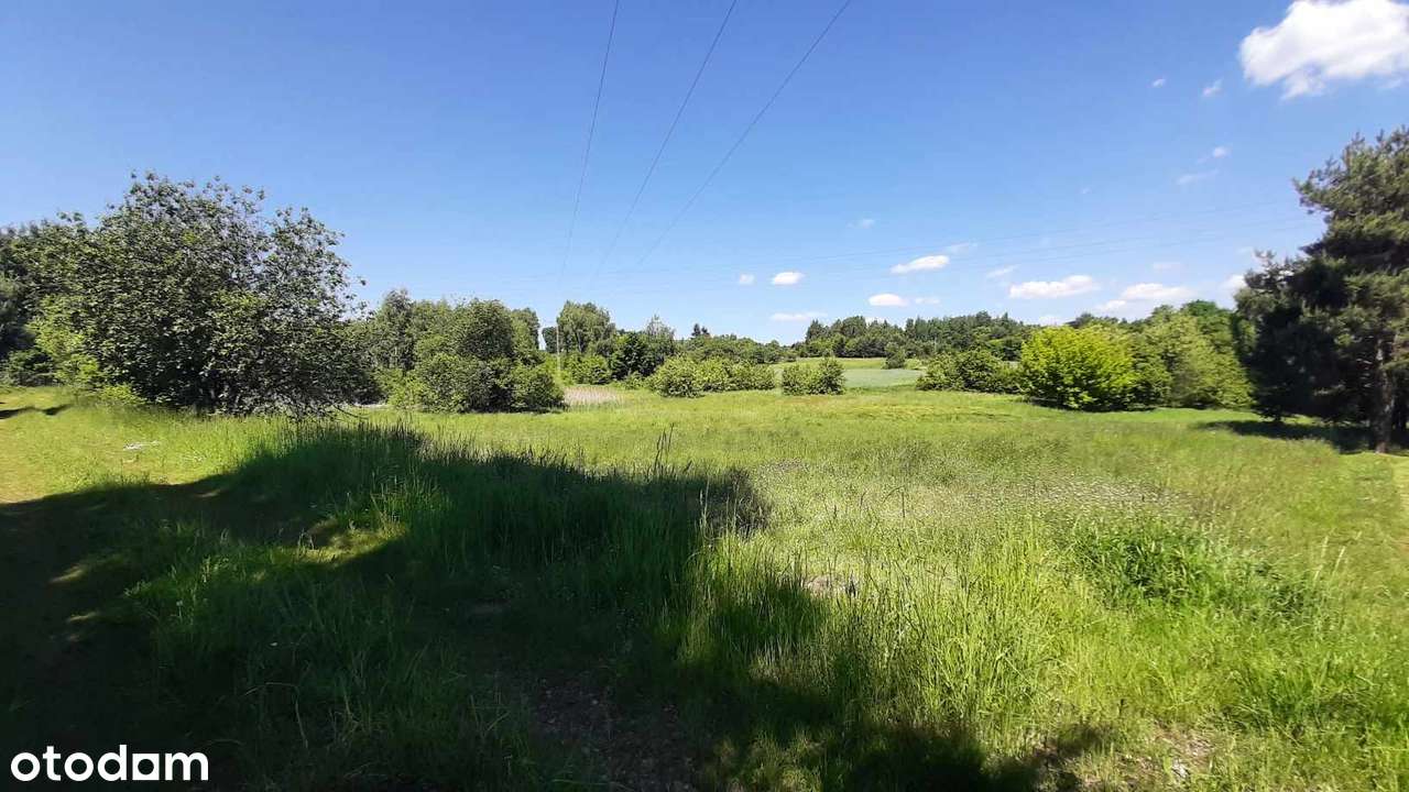 Syndyk sprzeda - 1/6 udziału - Pełny obrazek: 4/9