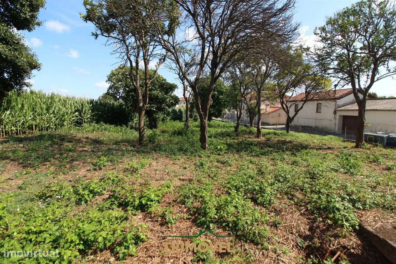 Terreno urbano com moradia antiga em Válega, Ovar-12