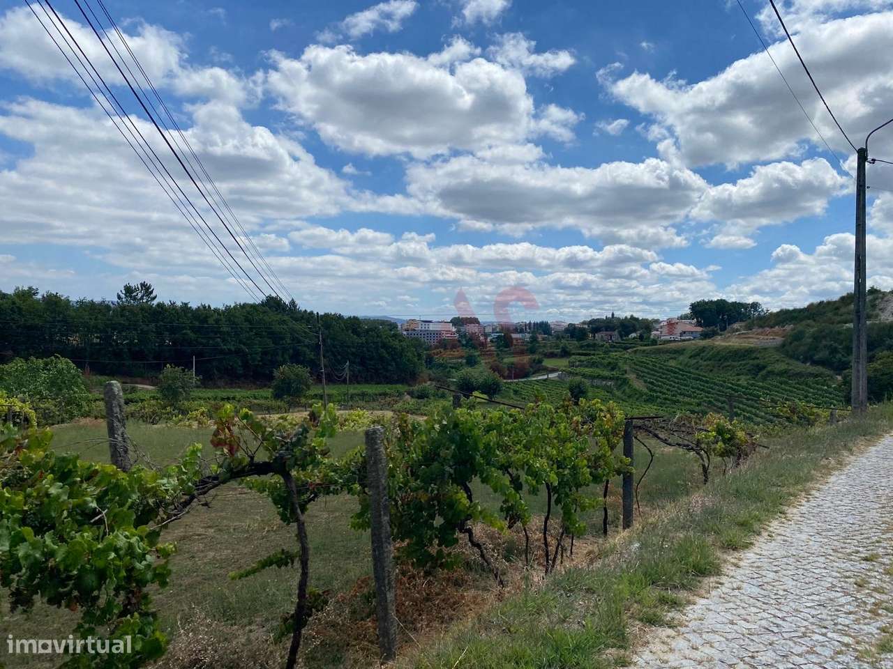 Quintinha com 26.155 m²  em Silvares Lousada - Grande imagem: 5/29