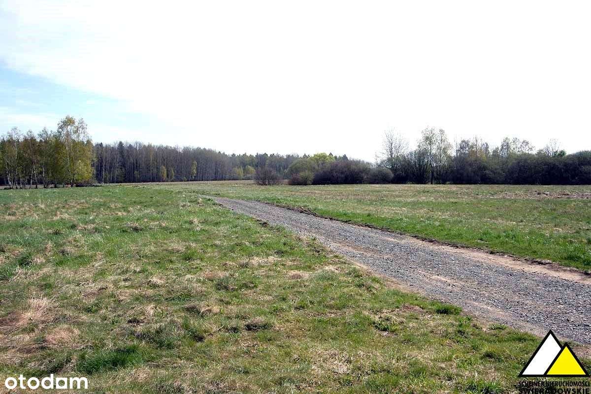 Widokowa działka Wolimierz-9