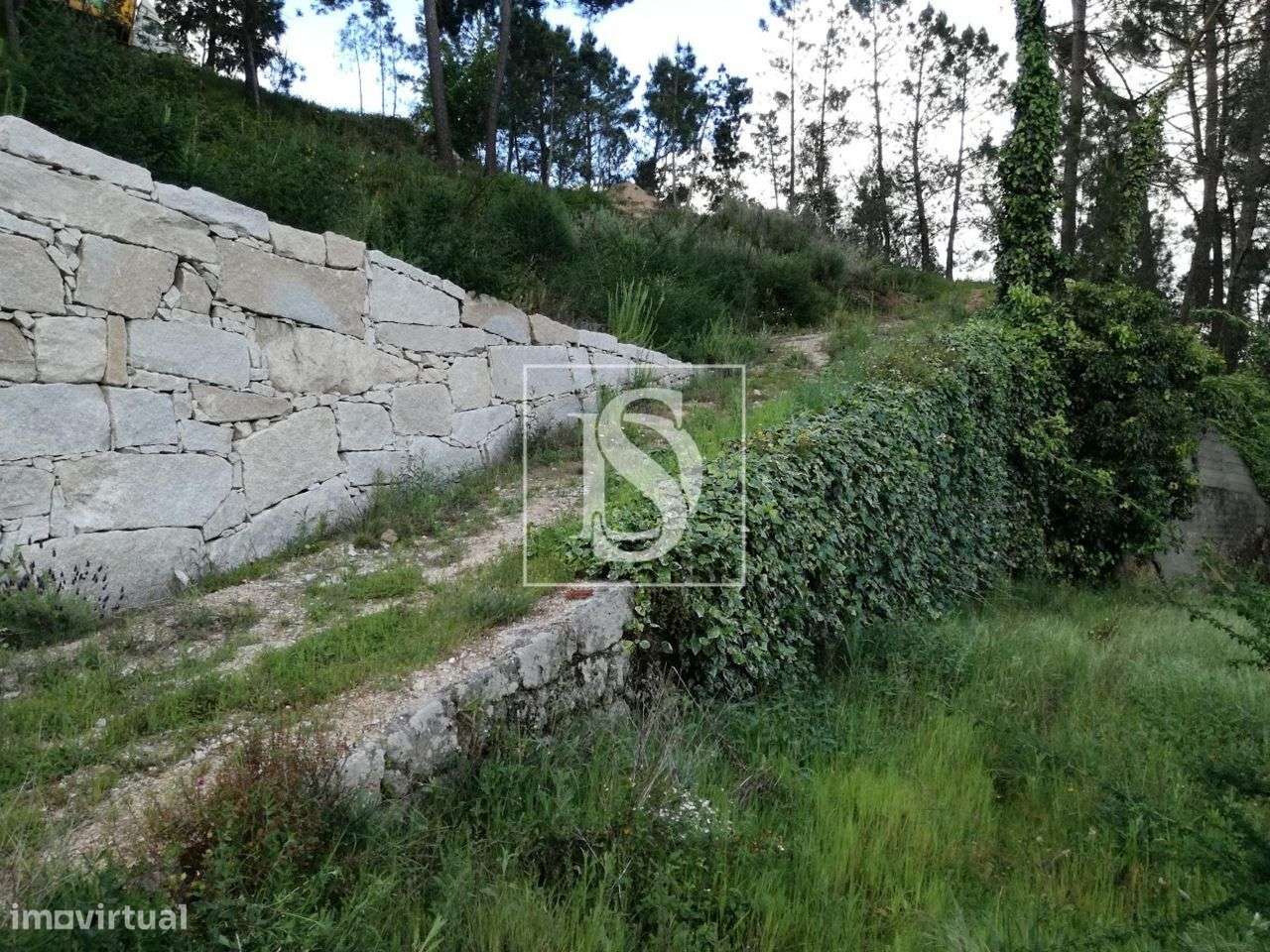 Terreno - Gove - Baião - Grande imagem: 5/5