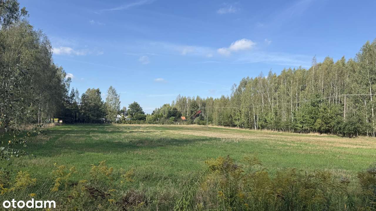 7 400 m² w sercu Podlasia – Twoja część natury w Dubinach!-9