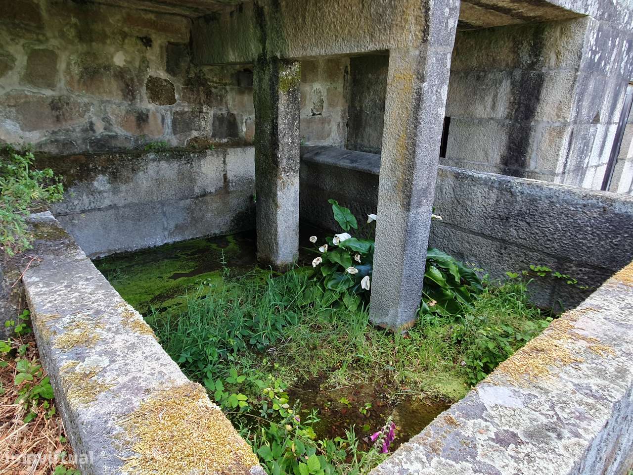QUINTA NO VALE DO DOURO - 2 CASAS EM PEDRA, 11 HECTARES DE TERRENO-10