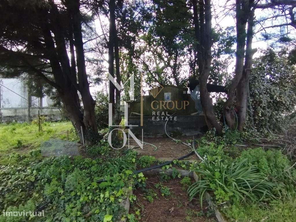 Atenção Felgueiras Investidores - Conjunto de Imóveis para venda - Grande imagem: 4/28