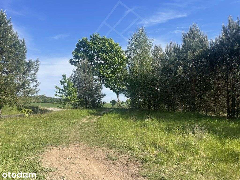 Działka w Mpzp w leśnym zaciszu! - Pełny obrazek: 2/7