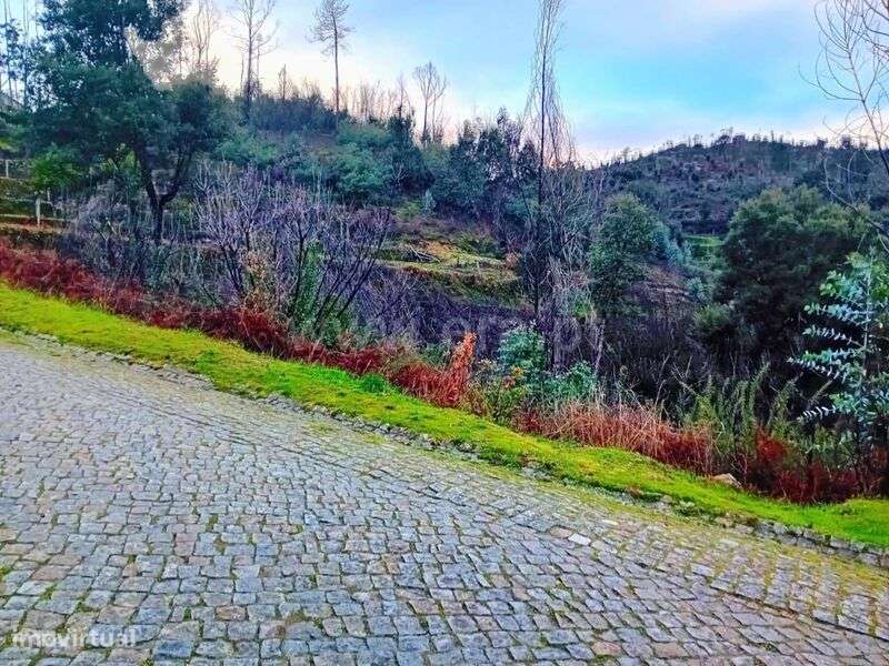 Terreno Rústico / Baião, Ancede e Ribadouro - Grande imagem: 3/5
